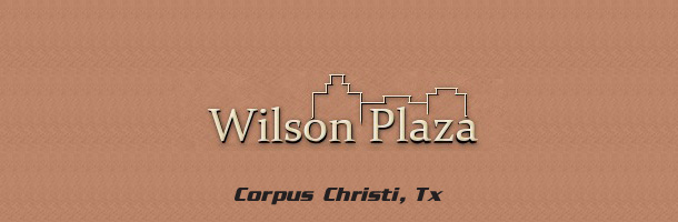 wilson_plaza_banner